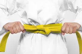 Lean Six Sigma Yellow Belt